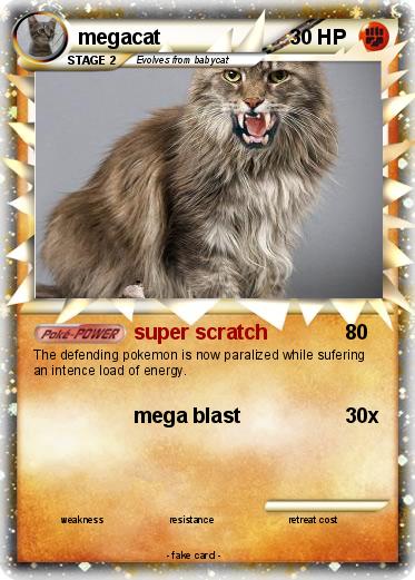 Pokemon megacat