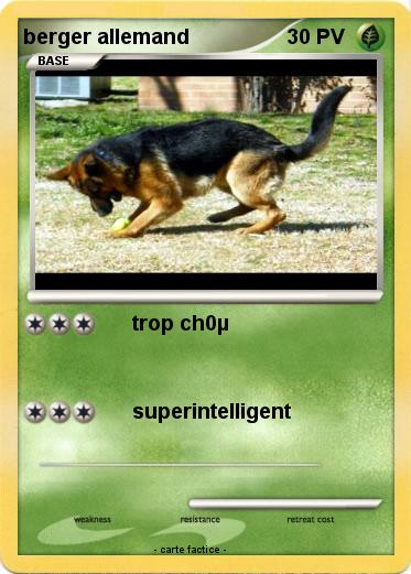 Pokemon berger allemand