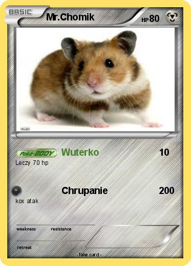 Pokemon Mr.Chomik