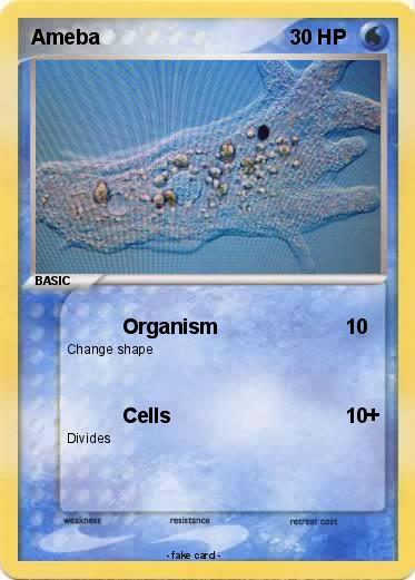 Pokemon Ameba