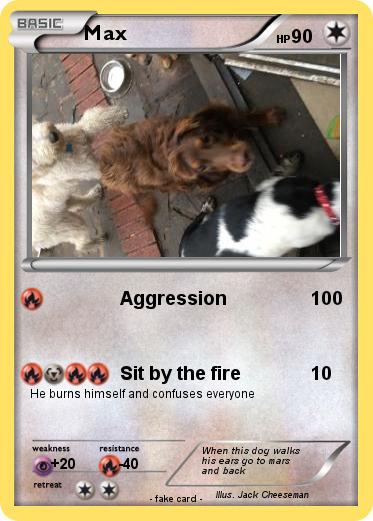 Pokemon Max