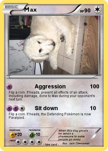 Pokemon Max
