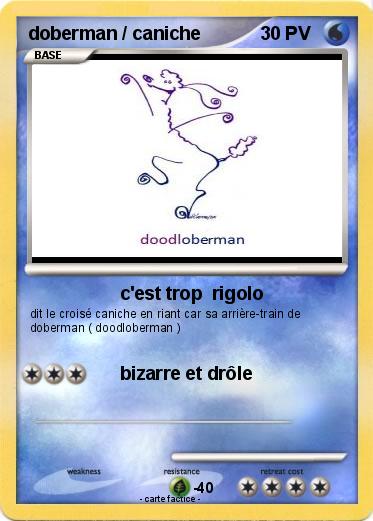 Pokemon doberman / caniche