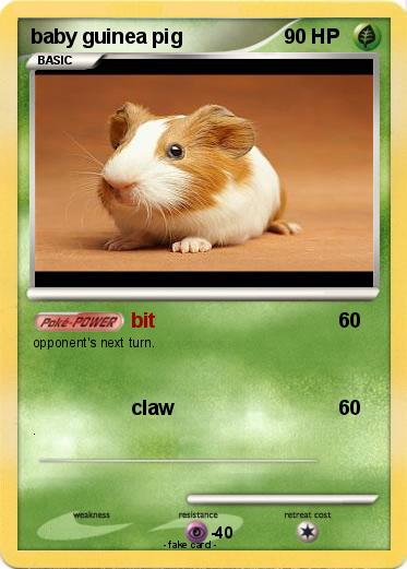 Pokemon baby guinea pig