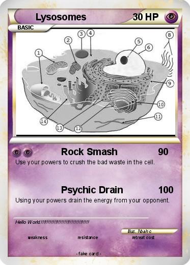 Pokemon Lysosomes