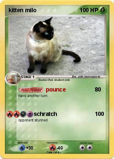 Pokemon kitten milo