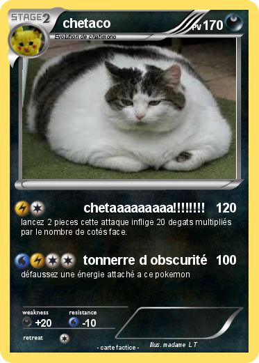 Pokemon chetaco