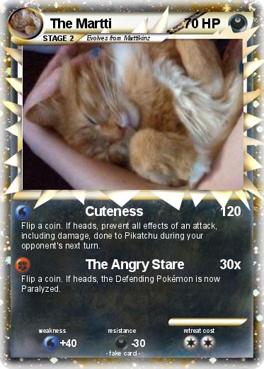 Pokemon The Martti