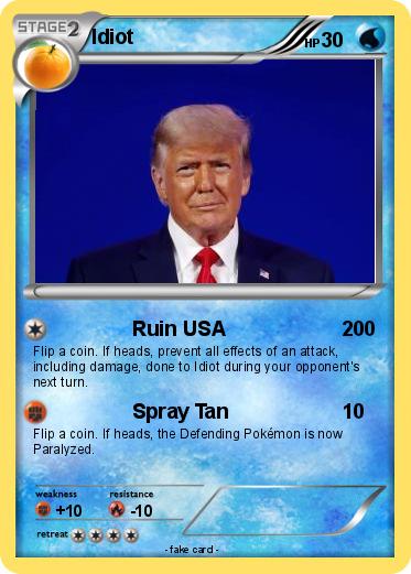 Pokemon Idiot