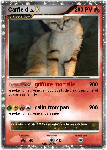 Pokemon Garfield