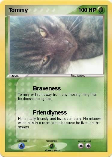 Pokemon Tommy