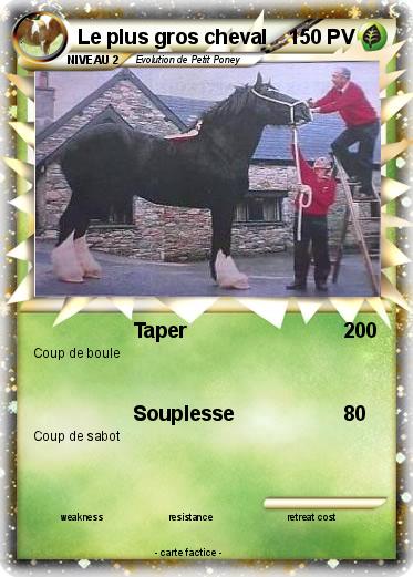 Pokemon Le plus gros cheval
