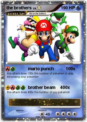 Pokemon the brothers