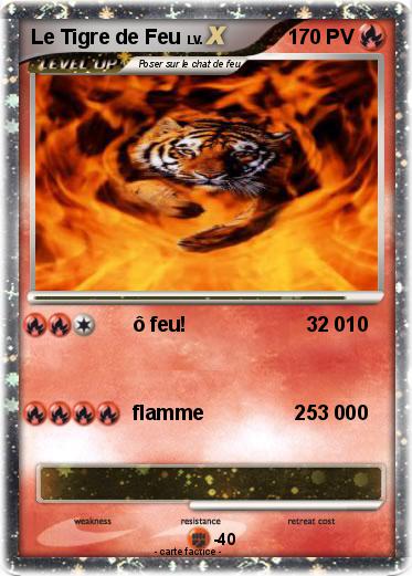 Pokemon Le Tigre de Feu