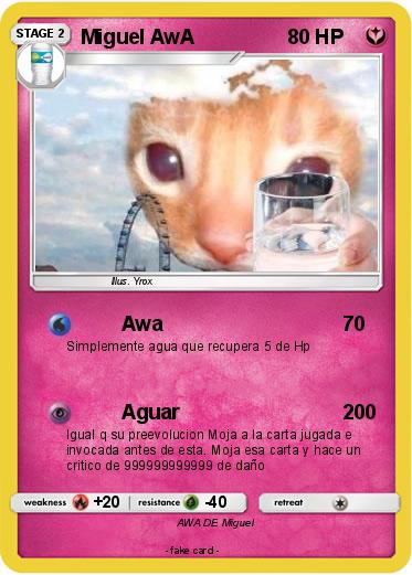 Pokemon Miguel AwA
