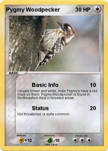 Pokemon Pygmy Woodpecker