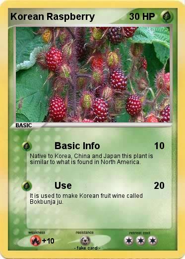 Pokemon Korean Raspberry