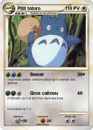 Pokemon Pitit totoro