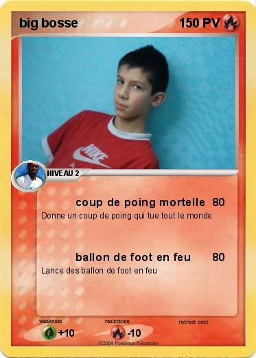 Pokemon big bosse