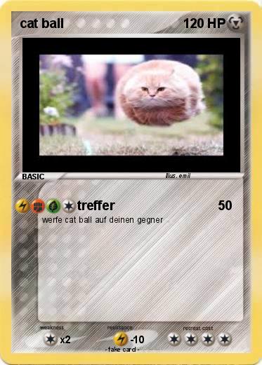 Pokemon cat ball
