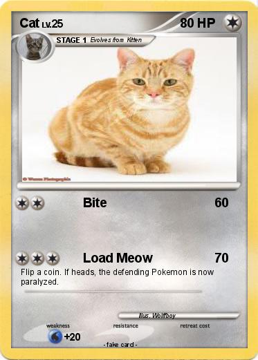 Pokemon Cat