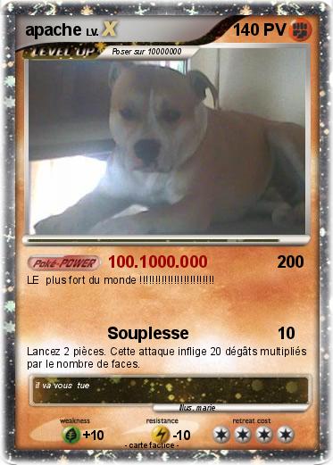 Pokemon apache