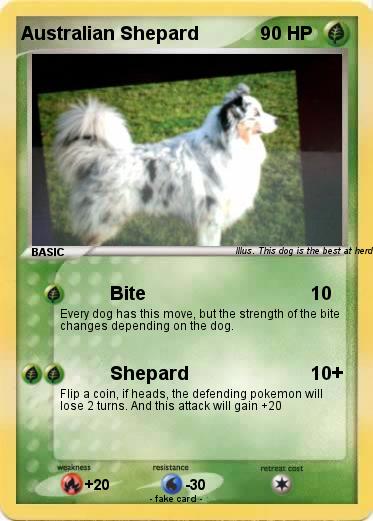 Pokemon Australian Shepard