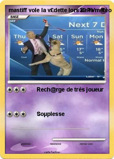 Pokemon mastiff vole la v£dette lors de la météo