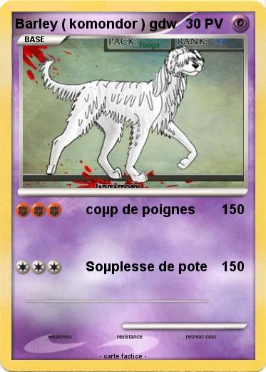 Pokemon Barley ( komondor ) gdw