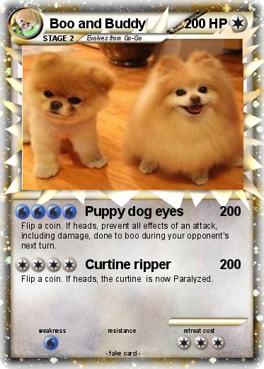 Pokemon Boo and Buddy