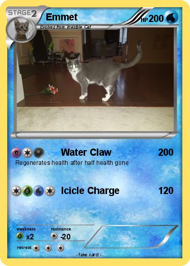 Pokemon Emmet