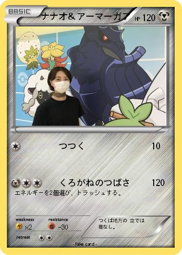 Pokemon ナナオ＆アーマーガア