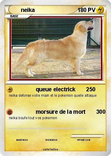 Pokemon neika