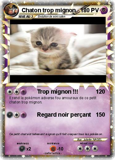 Pokemon Chaton trop mignon