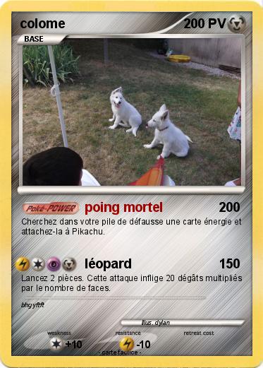 Pokemon colome