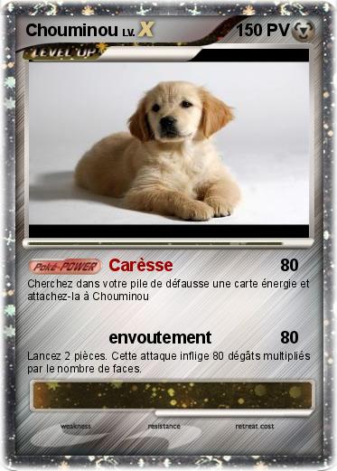 Pokemon Chouminou