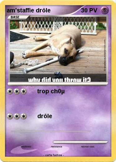 Pokemon am'staffie drôle