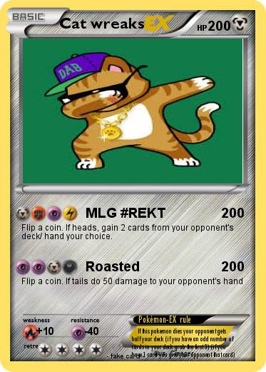 Pokemon Cat wreaks