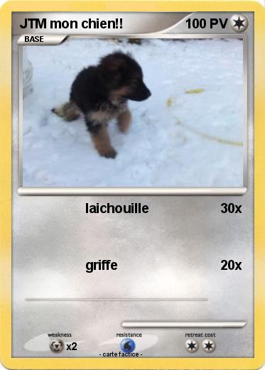 Pokemon JTM mon chien!!