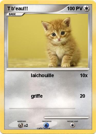 Pokemon T b'eau!!!