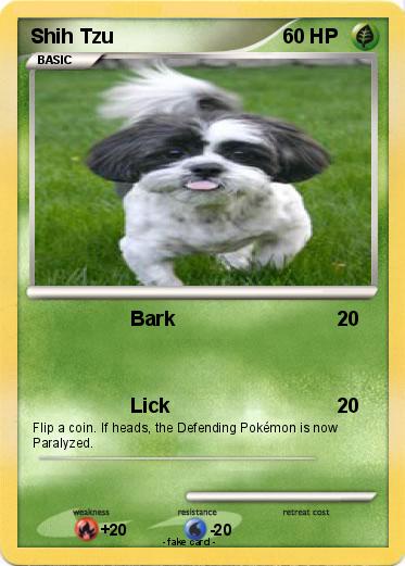 Pokemon Shih Tzu