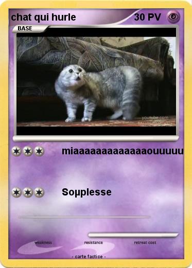 Pokemon chat qui hurle