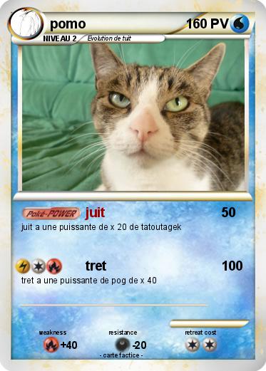 Pokemon pomo
