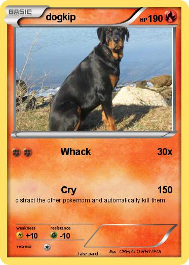 Pokemon dogkip