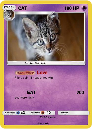 Pokemon CAT