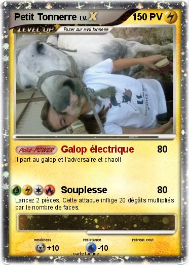 Pokemon Petit Tonnerre