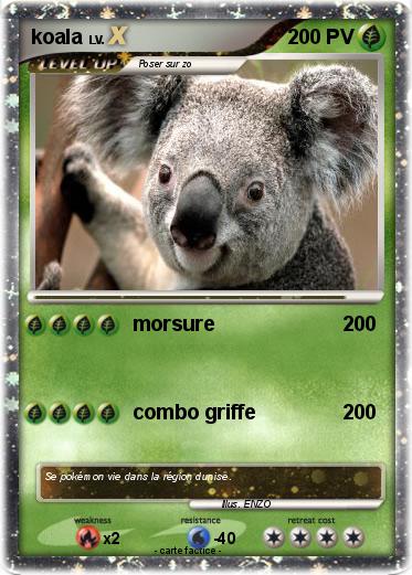 Pokemon koala