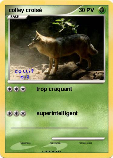 Pokemon colley croisé