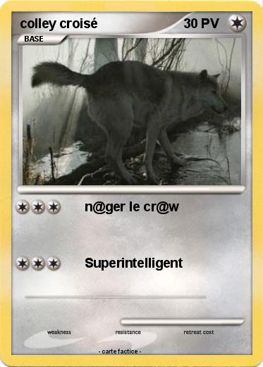 Pokemon colley croisé