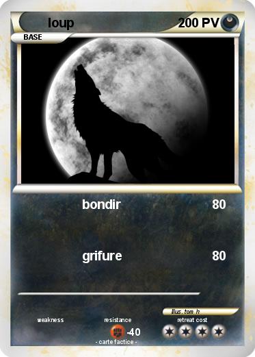 Pokemon loup